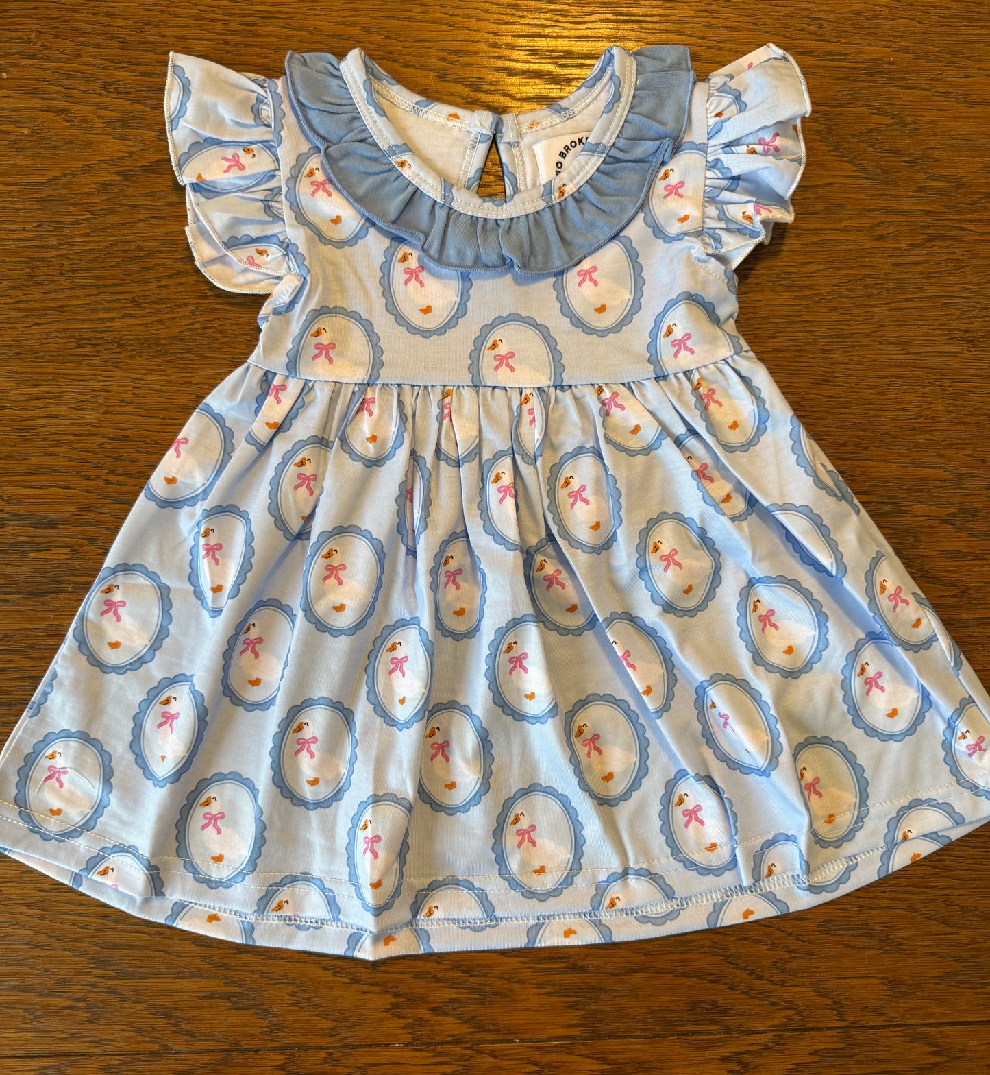 Light Blue Framed Silly Goose Dress
