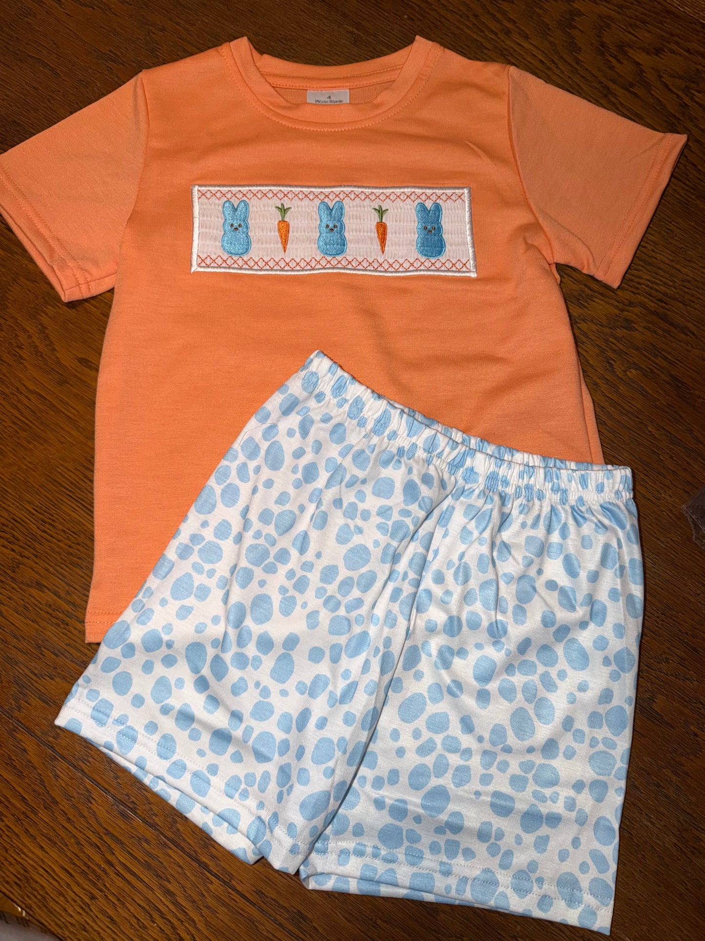 Blue Bunny Easter Short Set