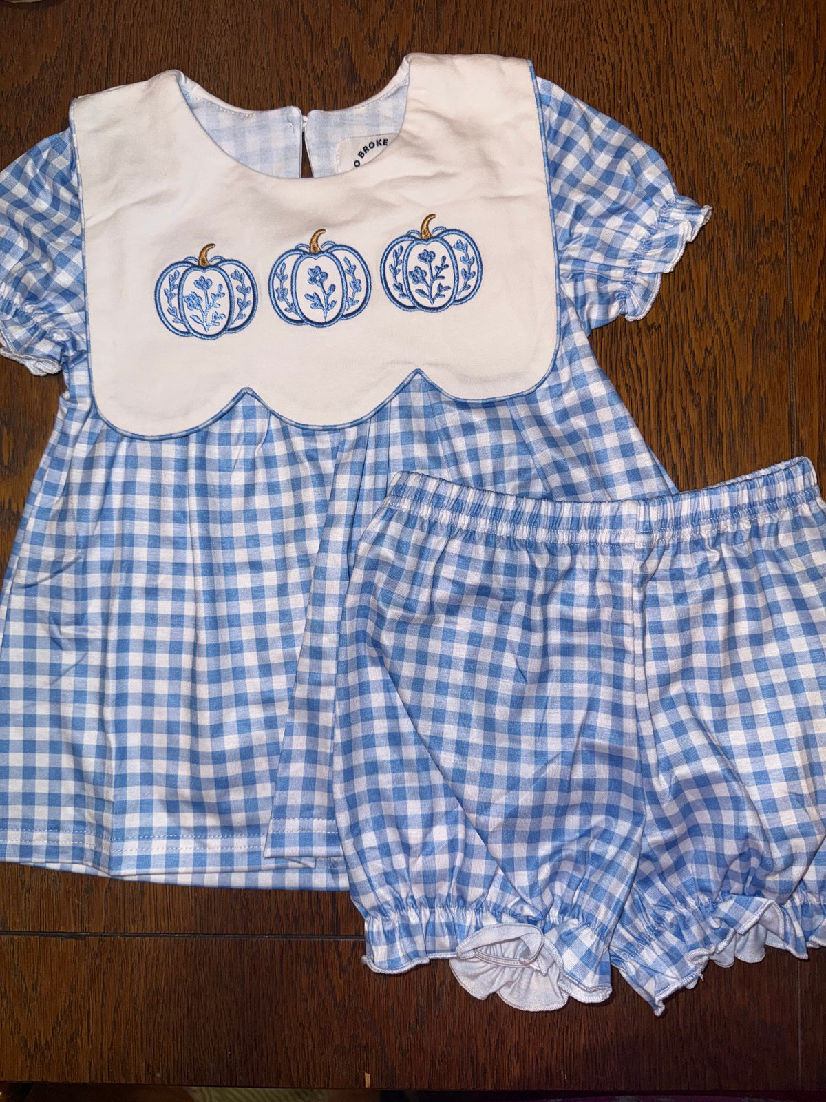 Blue Plaid Peter Pan Pumpkin Collar