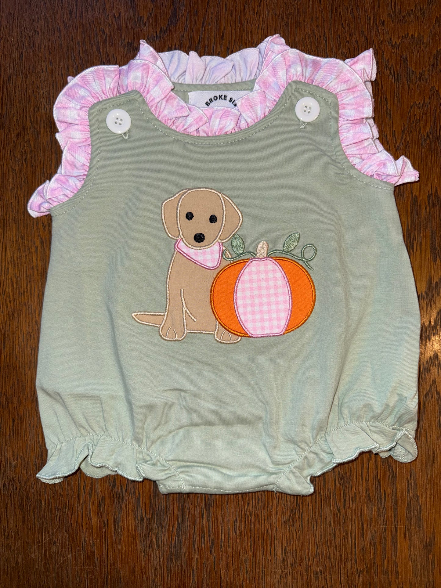 Light Green & Plaid Pup and Pumpkin Sibling Set