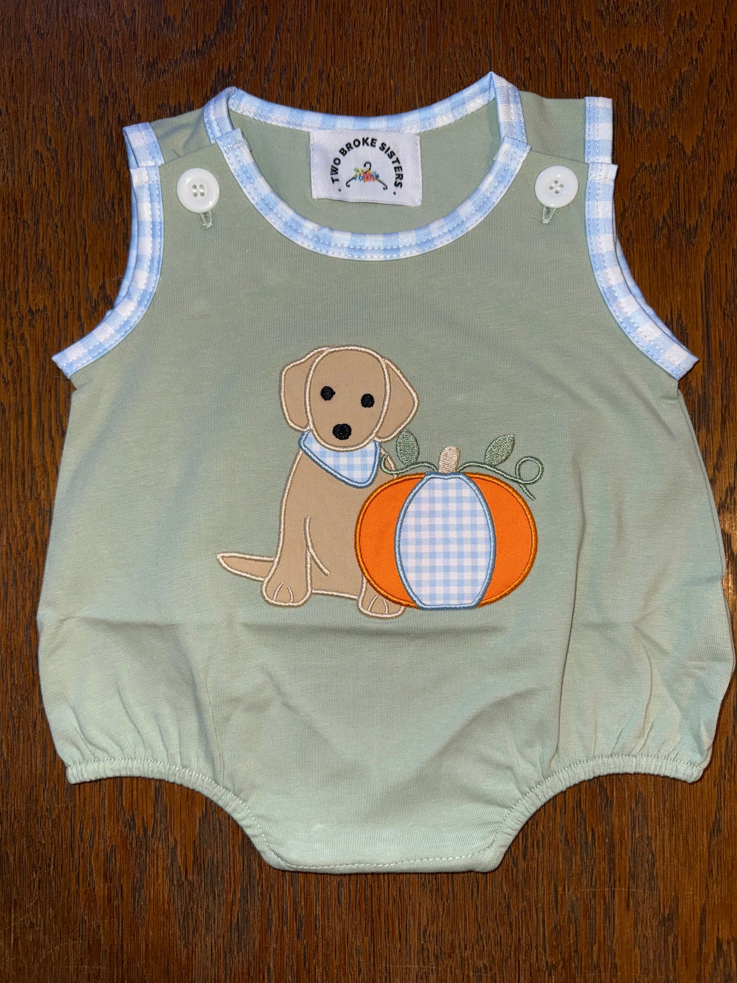 Light Green & Plaid Pup and Pumpkin Sibling Set