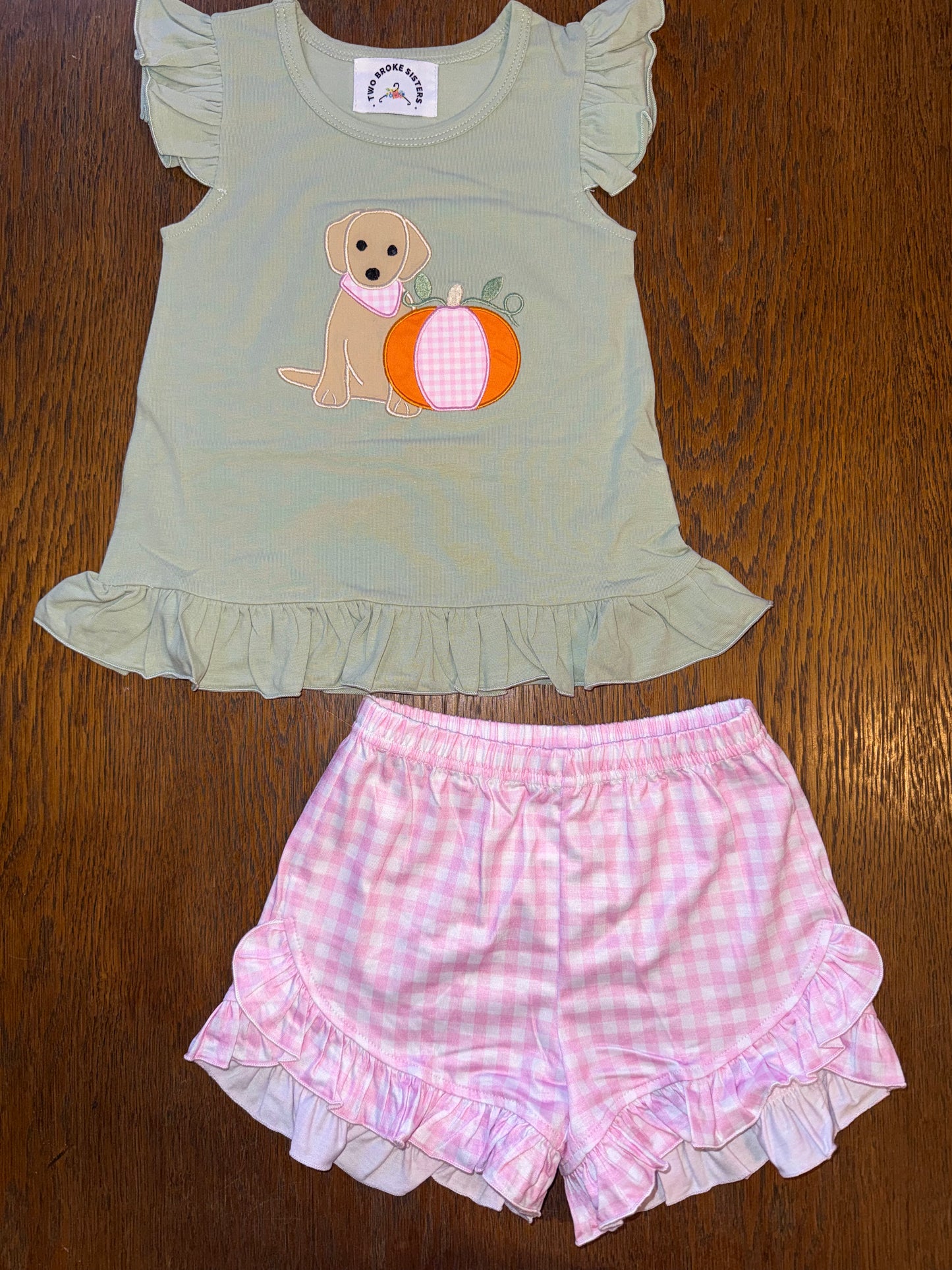Light Green & Plaid Pup and Pumpkin Sibling Set